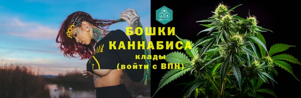 ПСИЛОЦИБИНОВЫЕ ГРИБЫ Абдулино