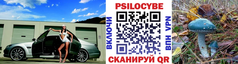 Галлюциногенные грибы Psilocybe  Ростов-на-Дону 