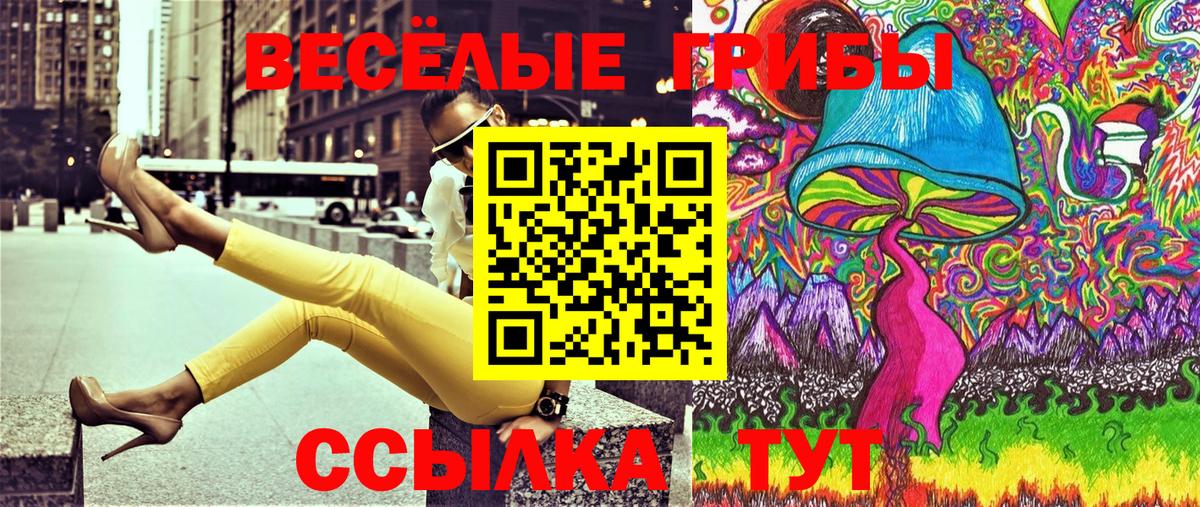 Псилоцибиновые грибы Cubensis  Галлюциногенные грибы GOLDEN TEACHER  Ростов-на-Дону  Вход с VPN 