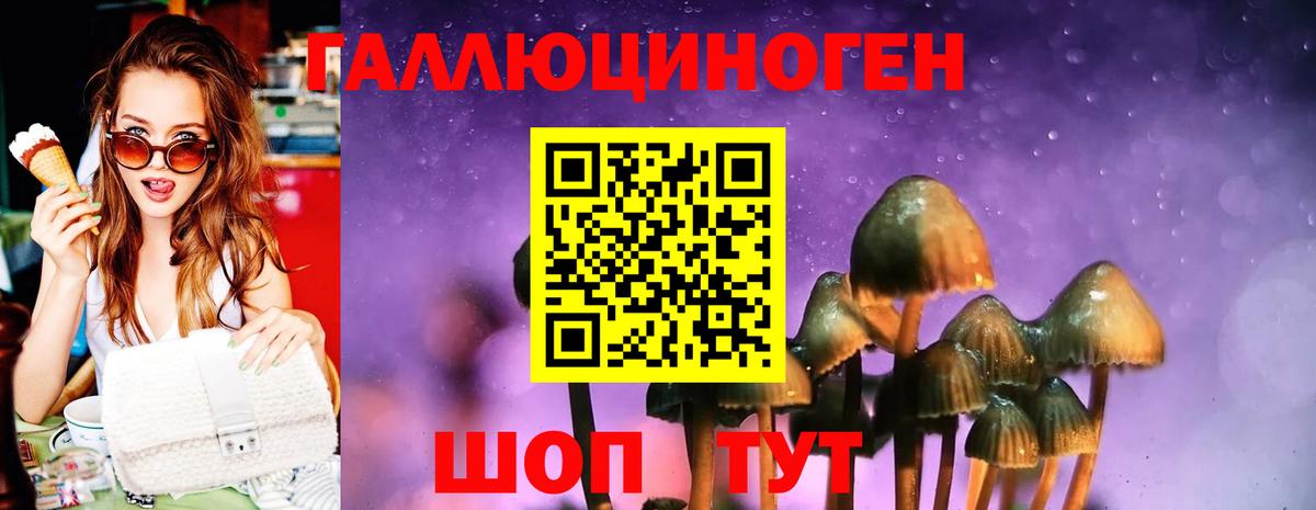 Псилоцибиновые грибы прущие грибы Ростов-на-Дону